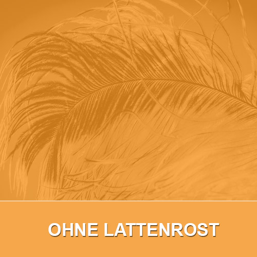 Ohne Lattenrost