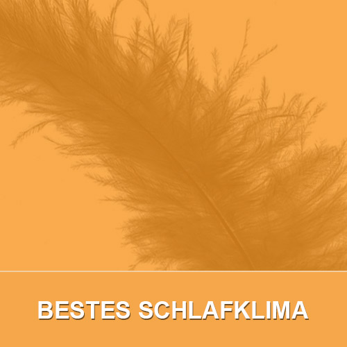 Bestes Schlafklima